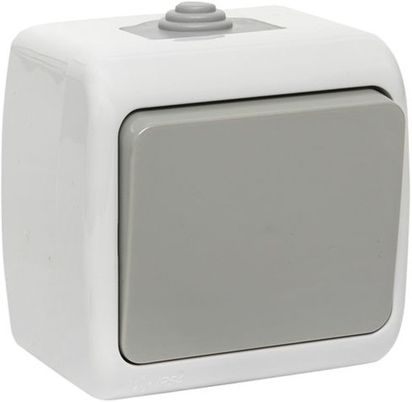 Мурманск Выключатель 1 -кл. 10А IP54 сер. EKF  в Коврове