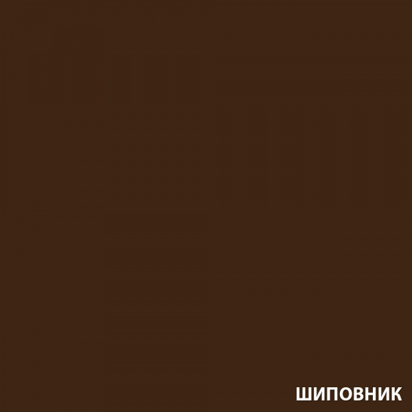 Шиповник